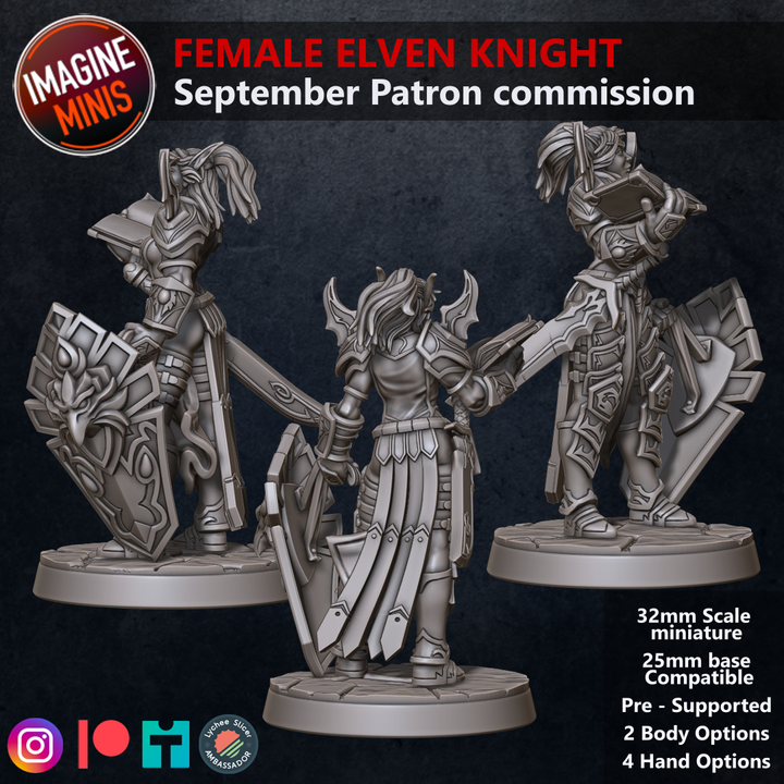 3D Printable Loyalty Reward 03 Months - Female Elven Knight by Imagine ...