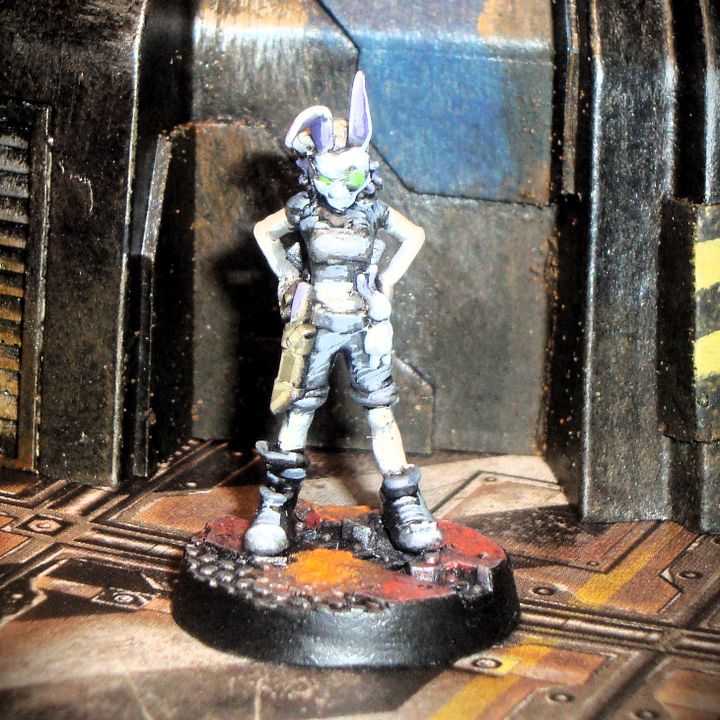 3D Printable Tina the borderlands explorer by David