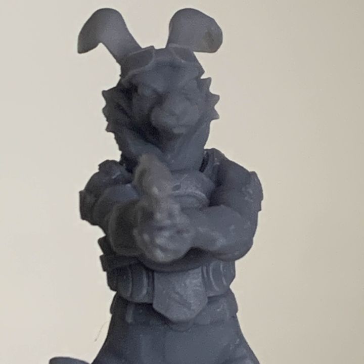 3D Printable Combat Tails - Lapine (Rabbit) Heads and Tails by That ...