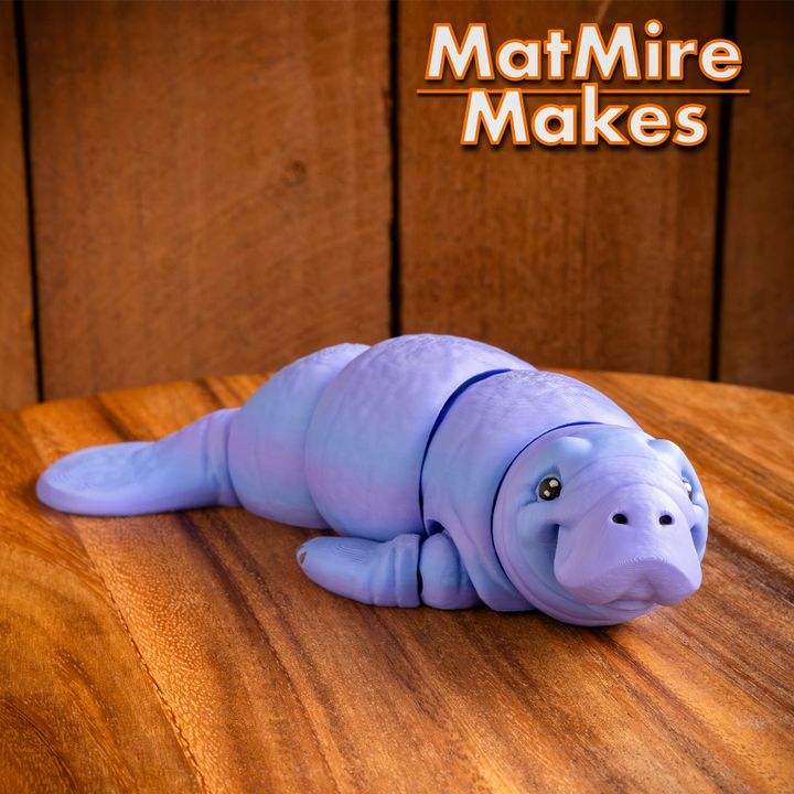 3D Printed Articulated Slug JUMBO/Medium Fidget Toy Slinky