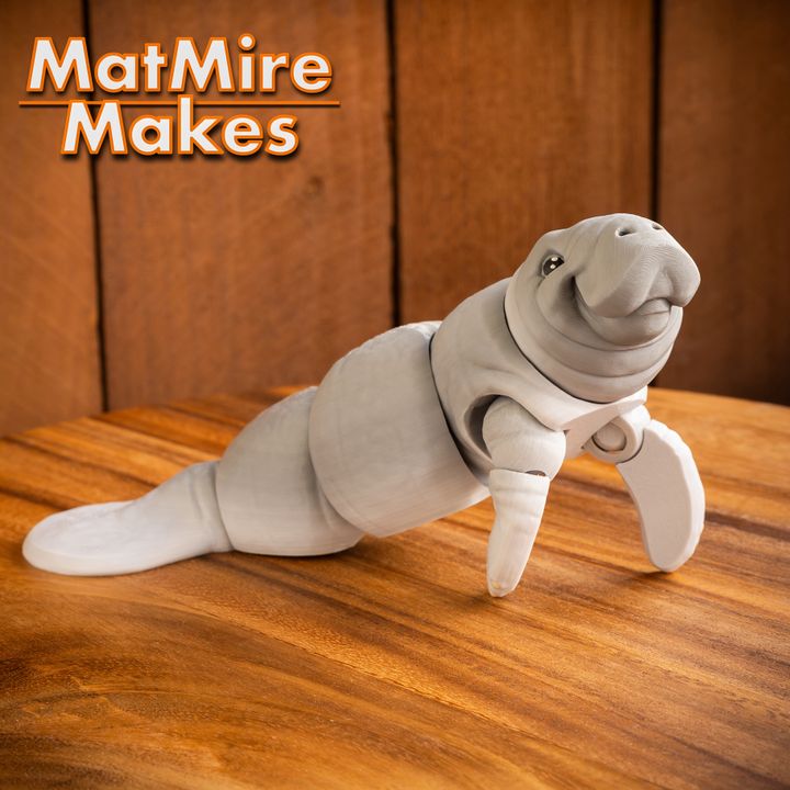 3D Printed Articulated Slug JUMBO/Medium Fidget Toy Slinky