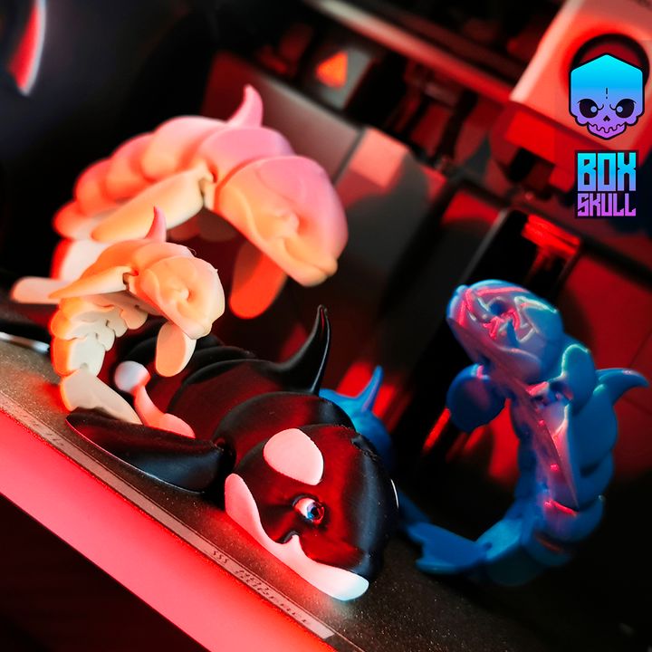 Killer Whale 完成品 Orca, Killer Whale, Museum Quality Plastic Replica 8