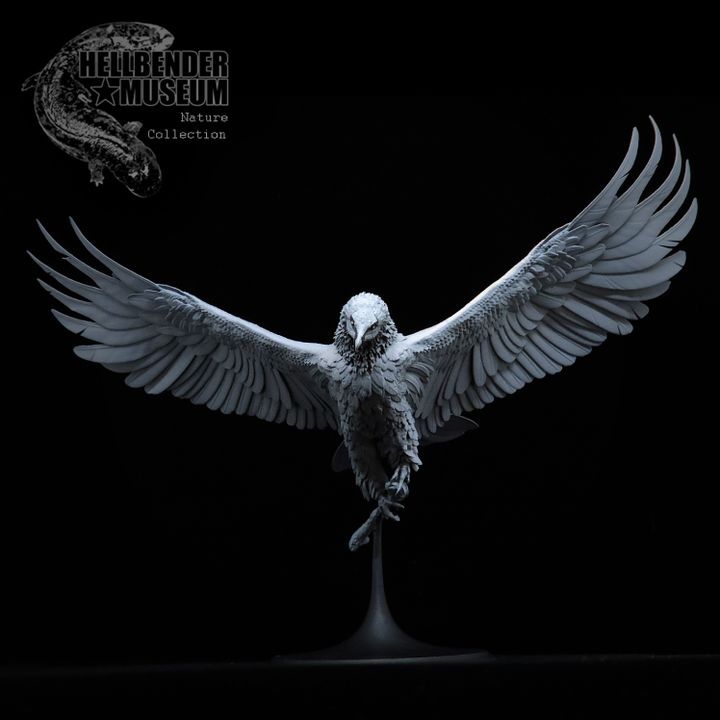 3D Printable Bearded Vulture Gypaetus barbatus Presupported by