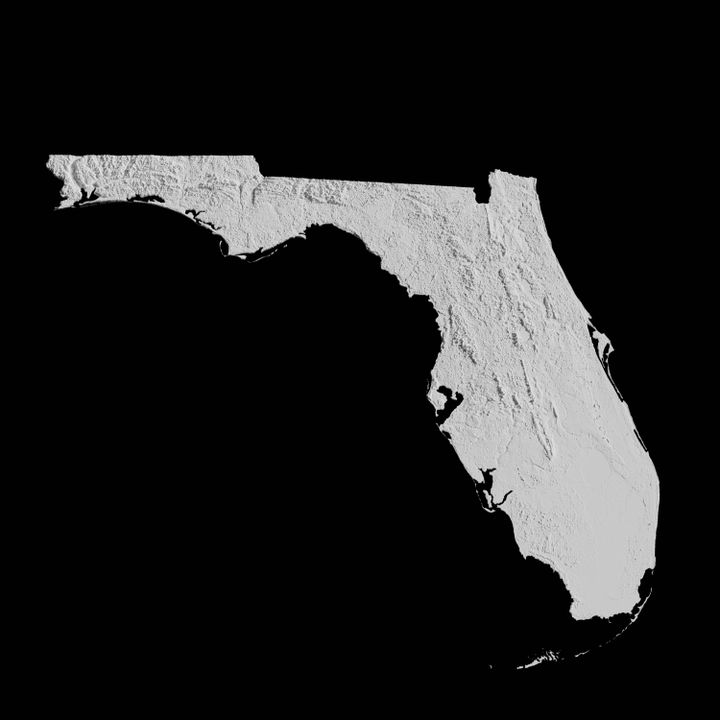 3D Printable USA State of Florida - 720X720 Florida1 