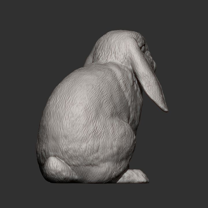 3D Printable rabbit ram by Alexander3dart