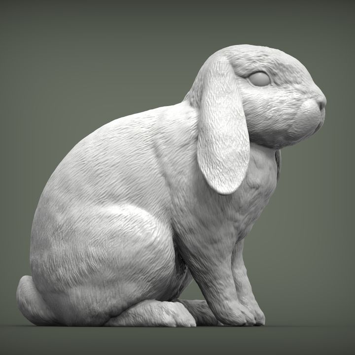 3D Printable rabbit ram by Alexander3dart