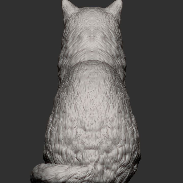 【完売品】ダイヤモンドアートクラブ　Rolo the Ragdoll Cat 完売品】ダイヤモンドアートクラブ Rolo the Ragdoll Cat one try