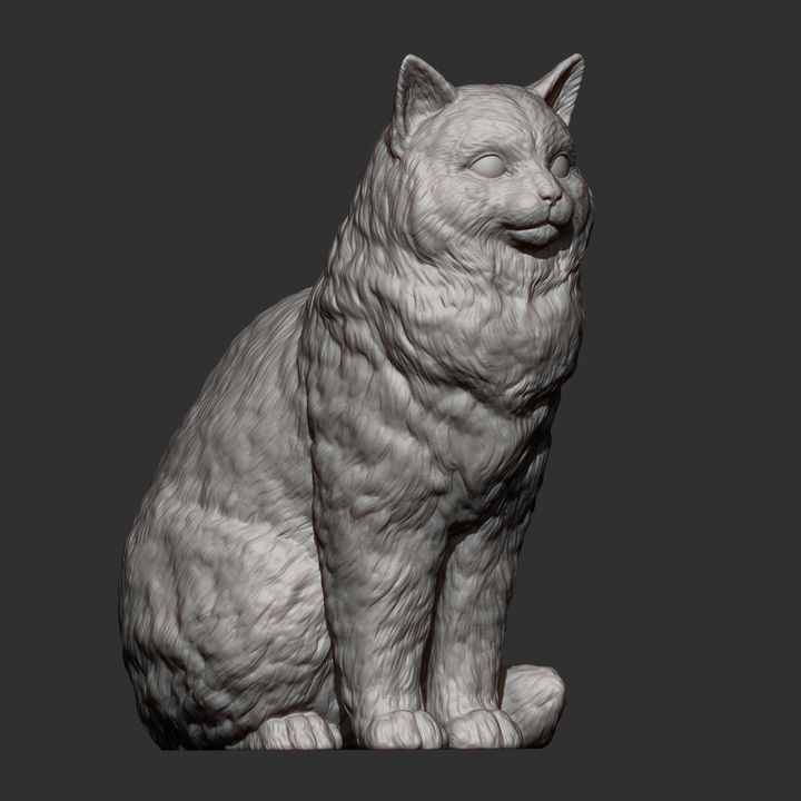 【完売品】ダイヤモンドアートクラブ　Rolo the Ragdoll Cat 完売品】ダイヤモンドアートクラブ Rolo the Ragdoll Cat one try