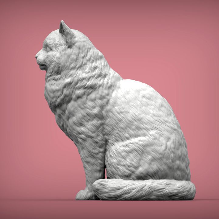 3D Printable Ragdoll cat by Alexander3dart