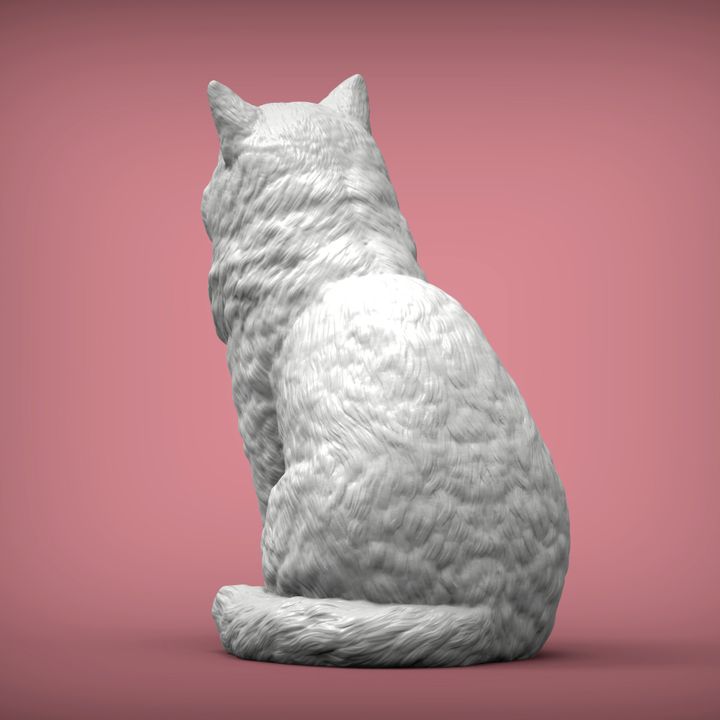 完売品】ダイヤモンドアートクラブ Rolo the Ragdoll Cat 完売品