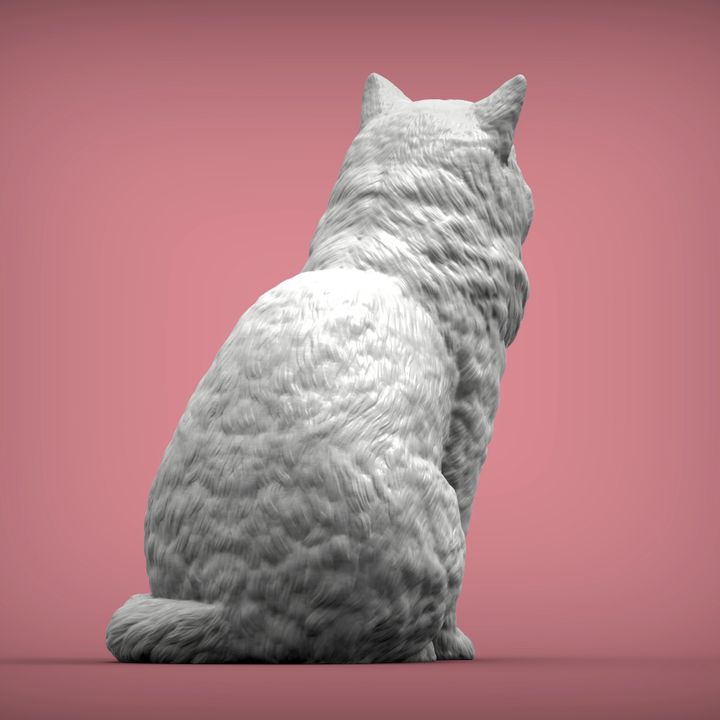 【完売品】ダイヤモンドアートクラブ　Rolo the Ragdoll Cat Rolo the Ragdoll Cat – Diamond Art Club