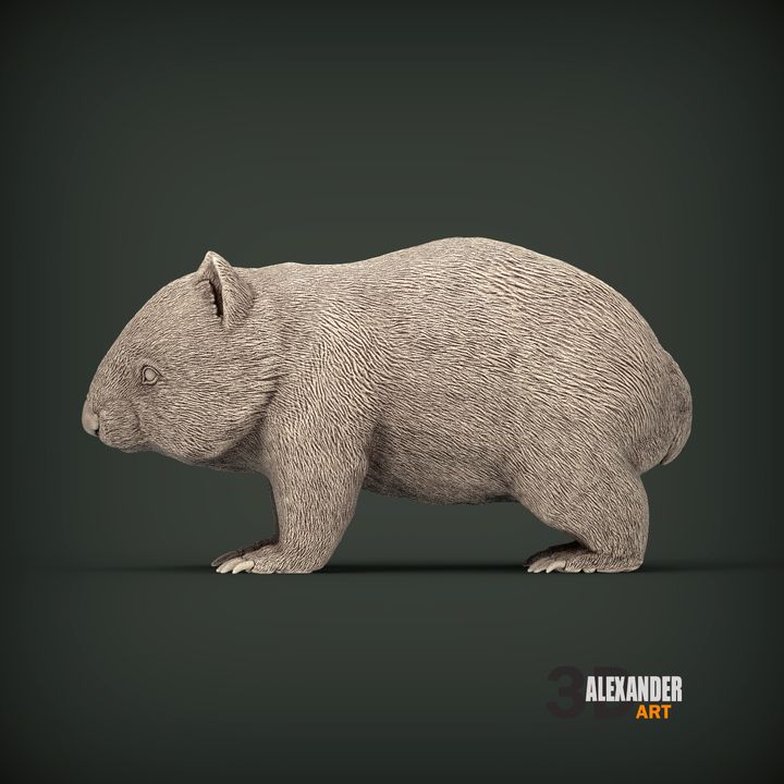 3D Printable Wombat by Alexander3dart