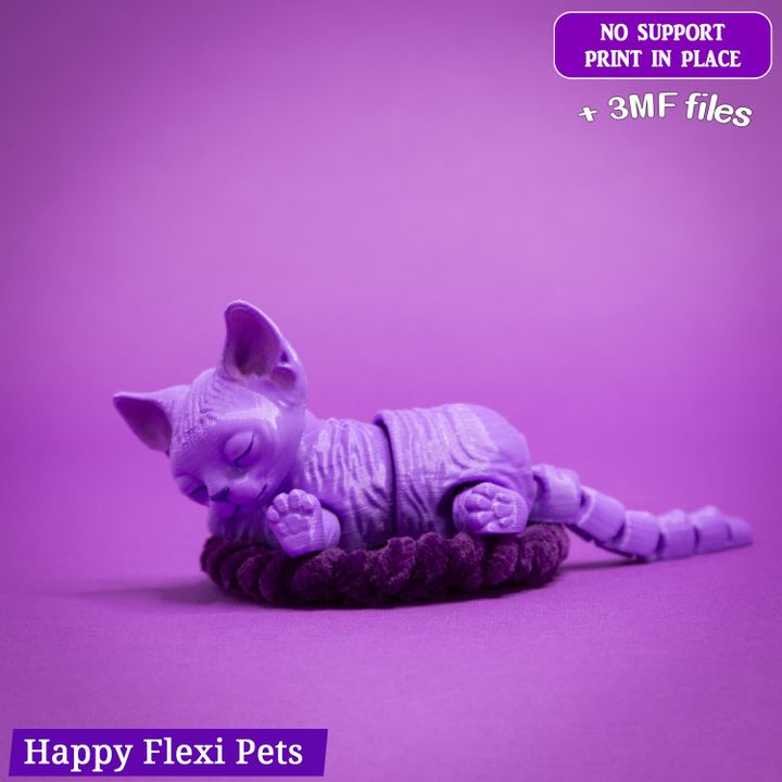 激レア】Christine's Cat (flexi)ファンジン2冊付 激レア】Christine's