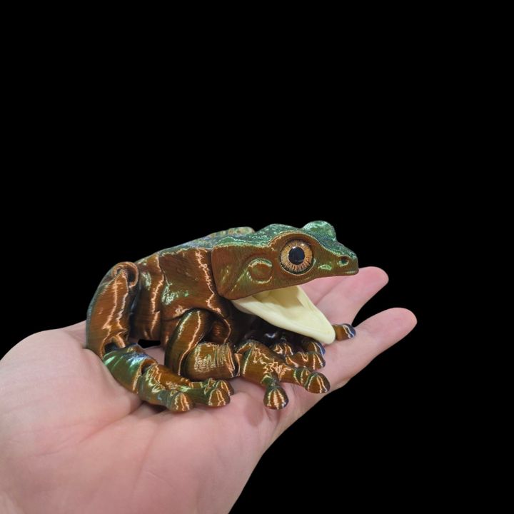 3D Printable Waxy Monkey Tree Frog - Articulated Frog by RAKI-BOX