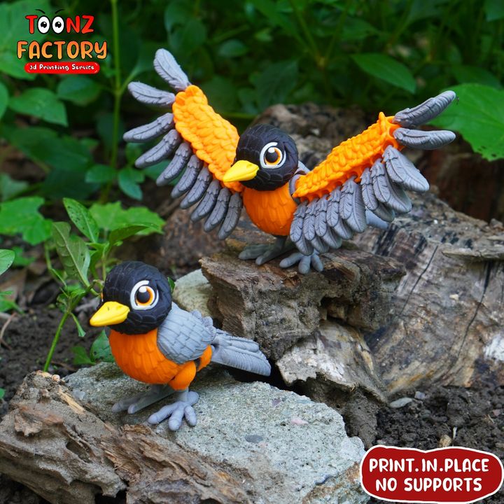 3D Printable Flexi American Robin Bird by Toonz Factory