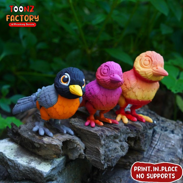 3D Printable Flexi American Robin Bird by Toonz Factory