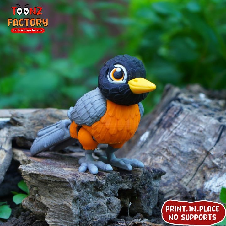 3D Printable Flexi American Robin Bird by Toonz Factory